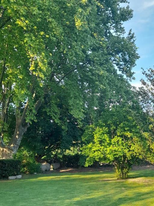 Montjoia Le Gite Bleu ル・トール エクステリア 写真